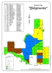 RURAL_MAPPING